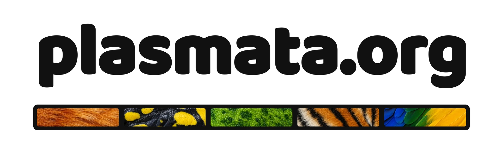 plasmata.org